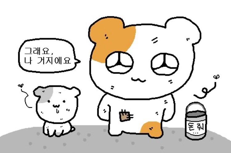 지베젤라 이미지