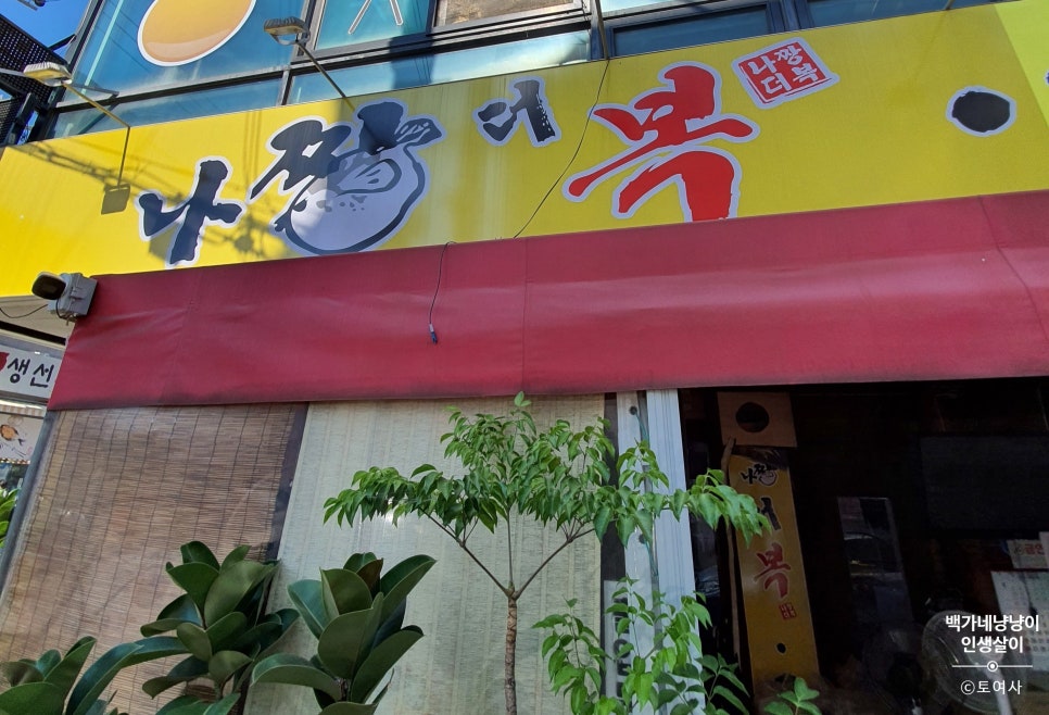 나짱더복 이미지