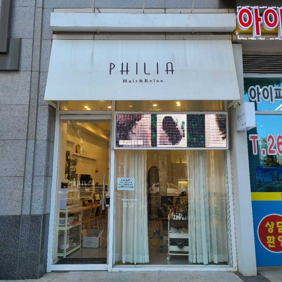 필리아 헤어 이미지
