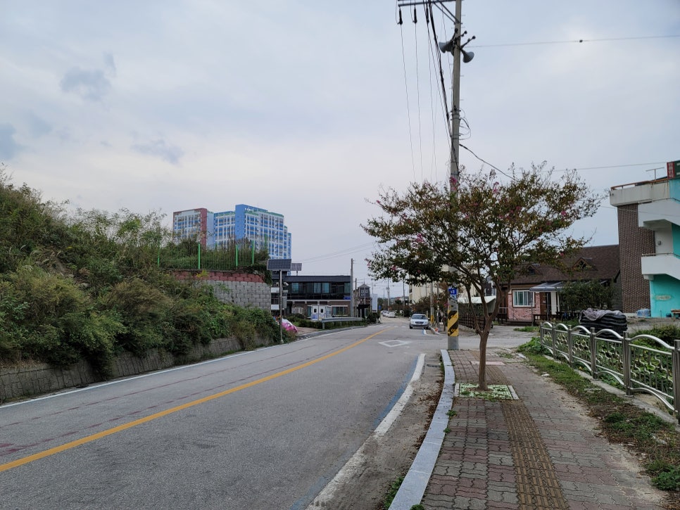 봉포건어물마트 이미지