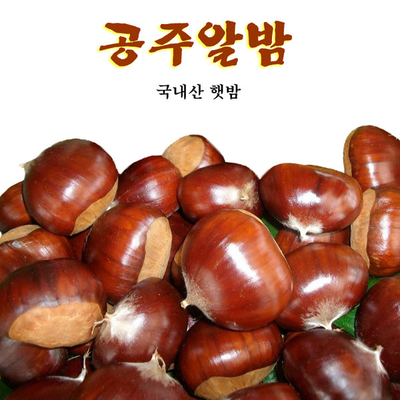 공주밤나무 이미지