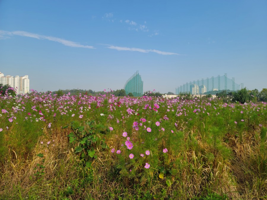 한양대학교 안산캠퍼스 이미지