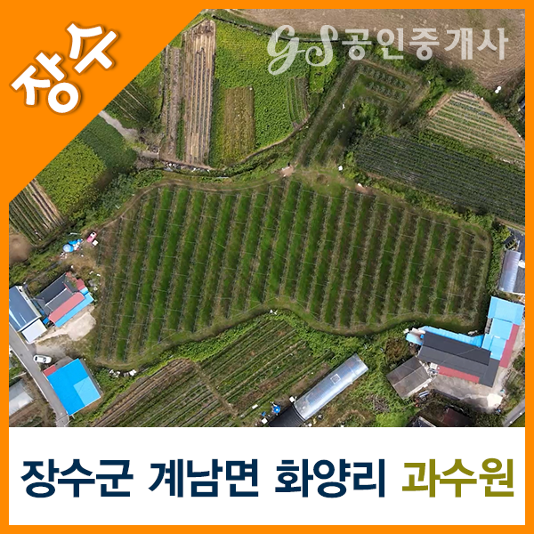 장수공인중개사사무소 이미지