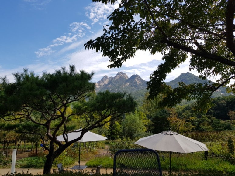 섬진강빵집 이미지