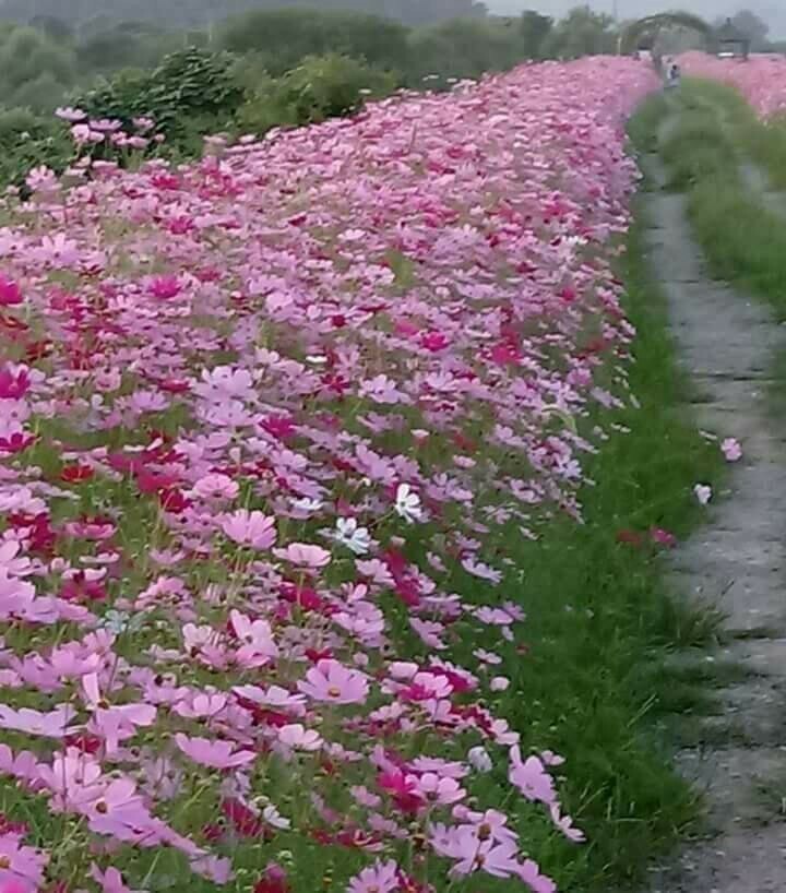 고덕갈비 이미지