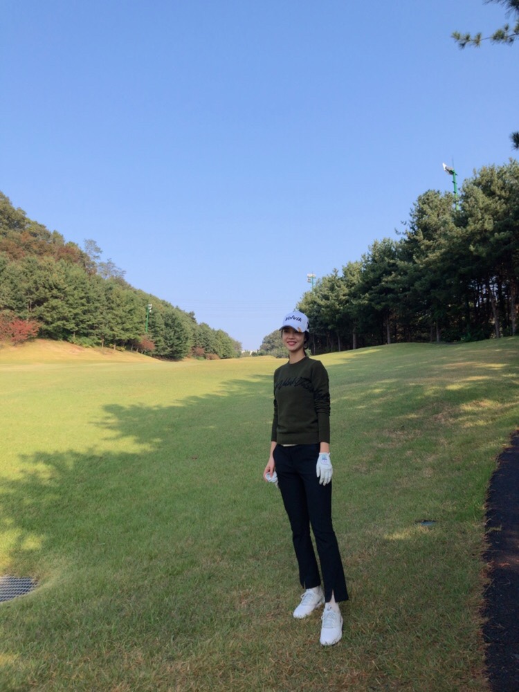 볼빅고양 이미지