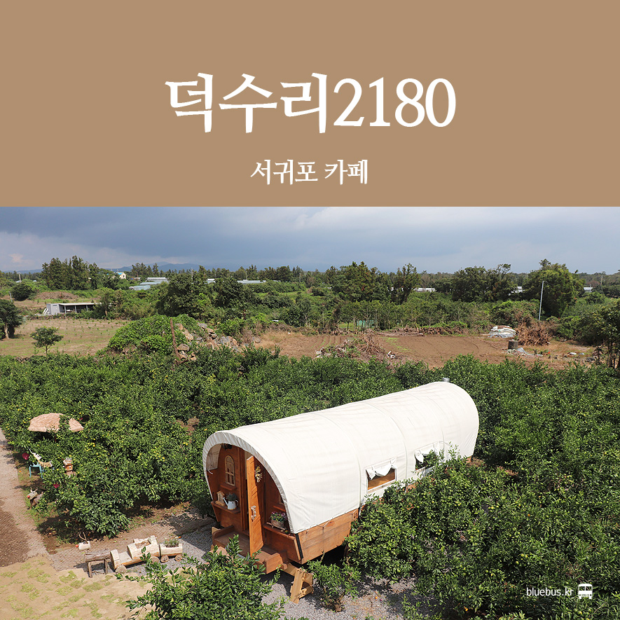 카페덕수리2180 이미지