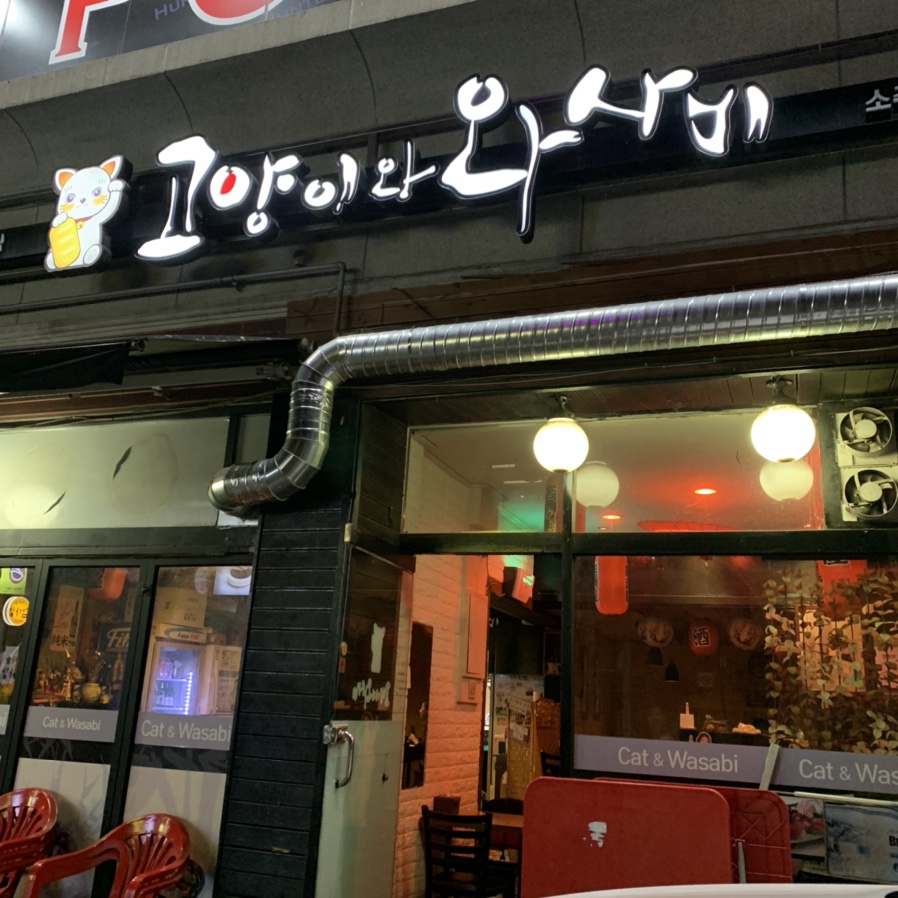 고양이와 와사비 이미지
