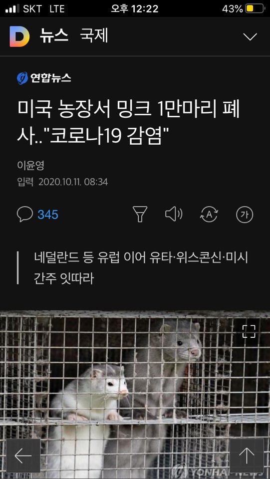 돼지수퍼 이미지