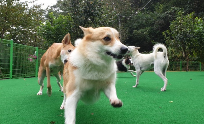 카사보니타 이미지