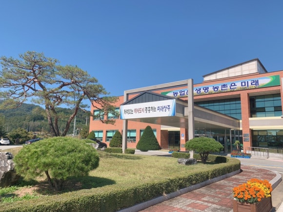 상주떡 이미지