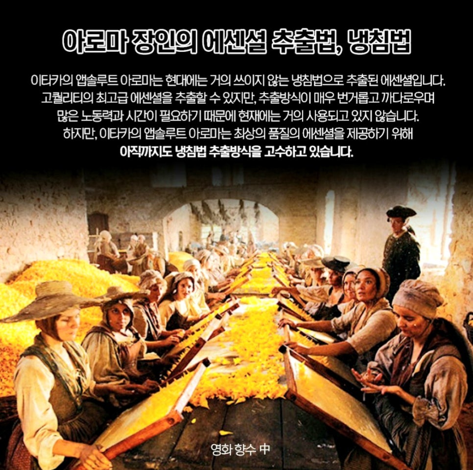 명품아로마 이미지