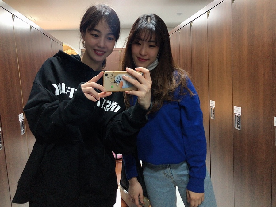 볼빅고양 이미지