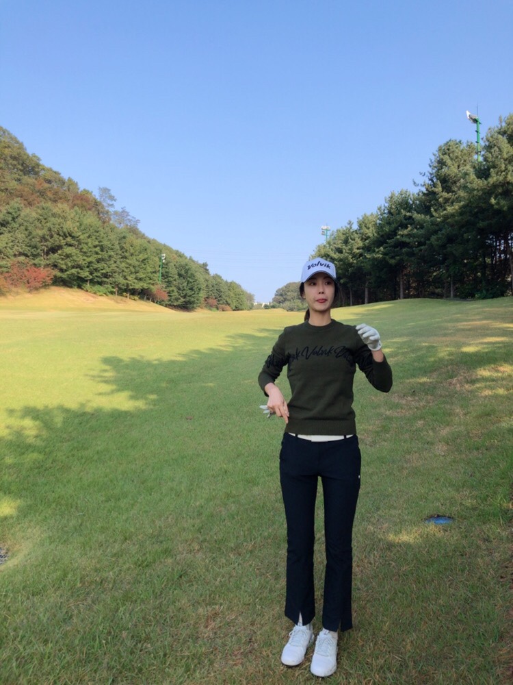 볼빅고양 이미지