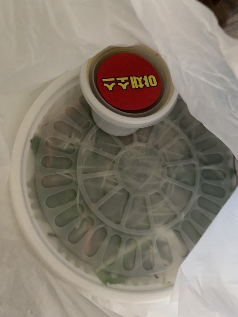 백김치새싹막회 이미지