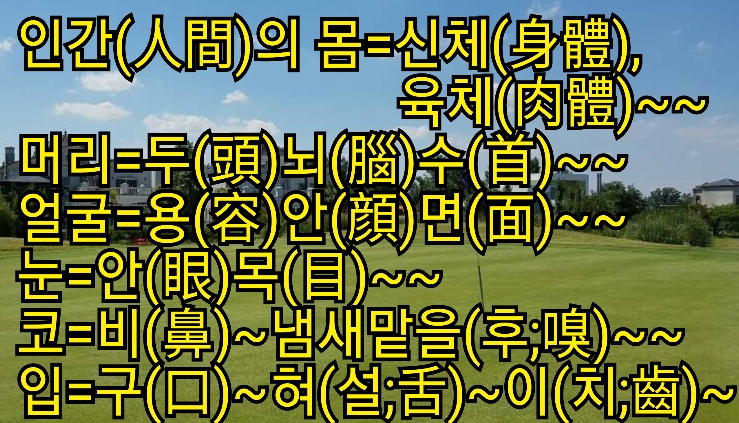 손.수[手] 이미지