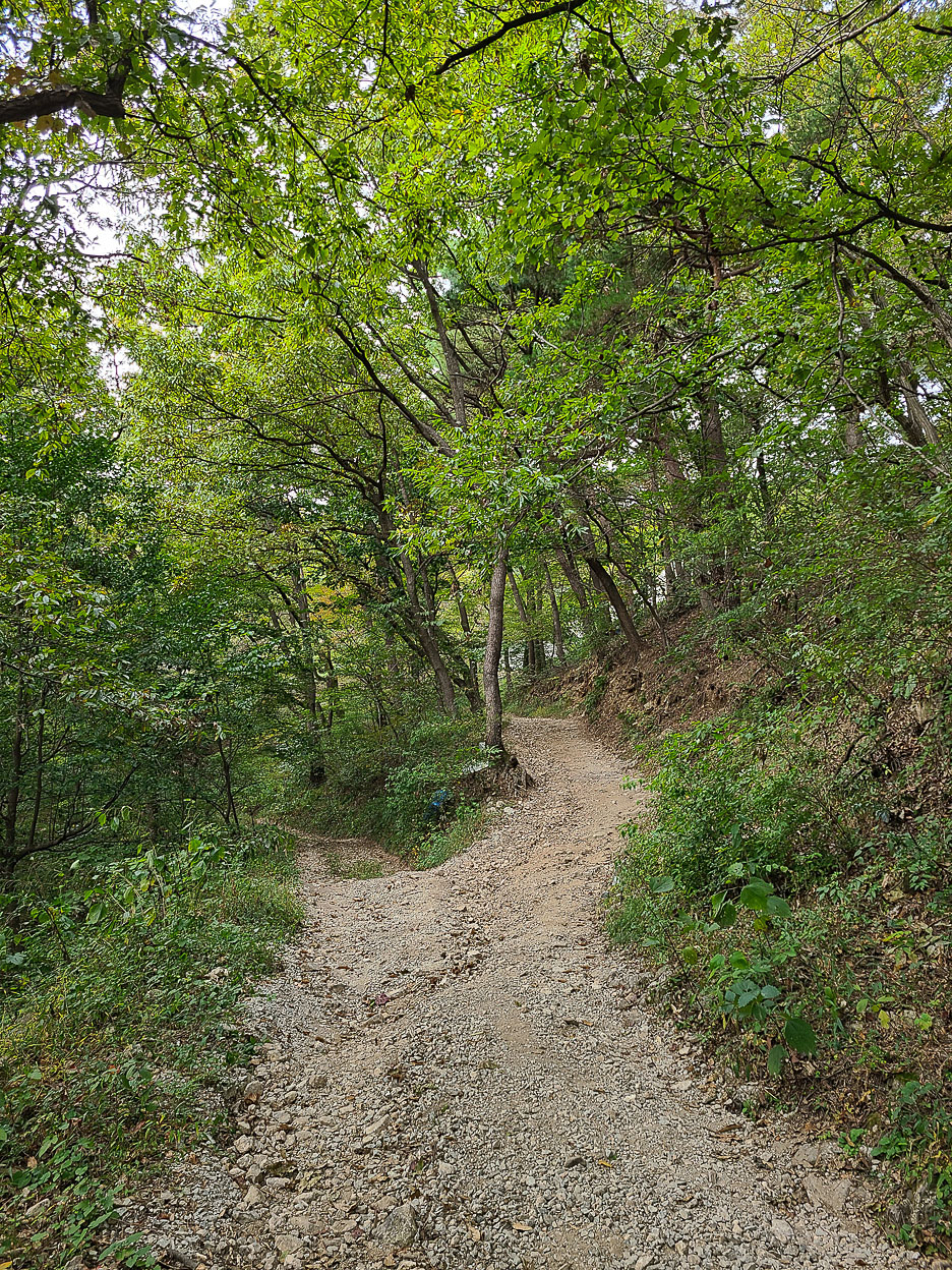 상록다방 이미지