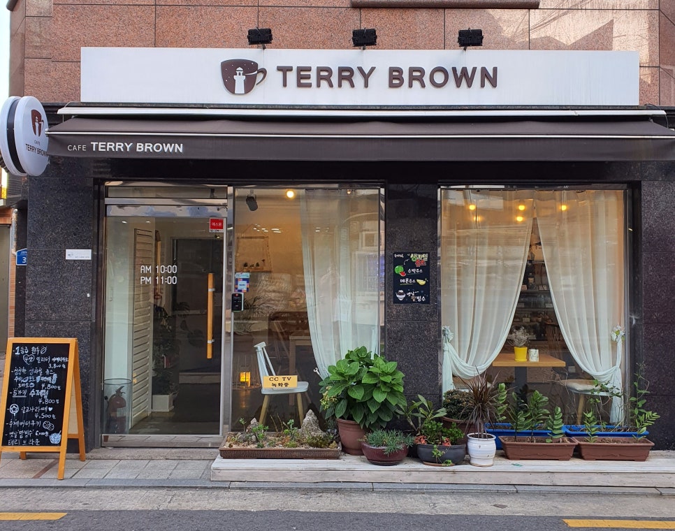 테리브라운 이미지