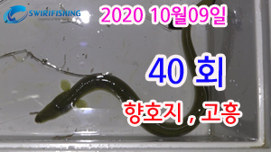 황당한장어 이미지