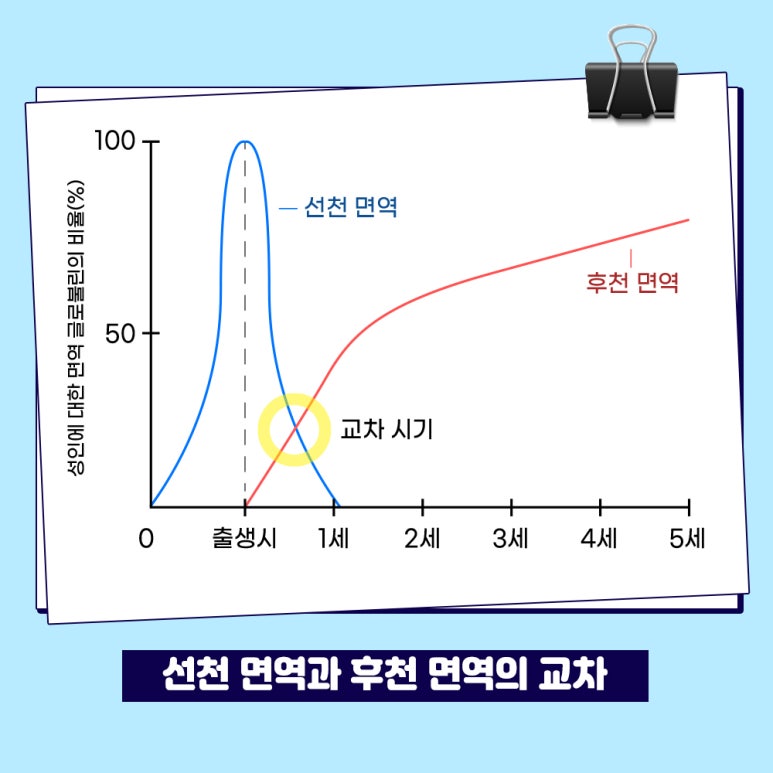 강남아이누리한의원 이미지