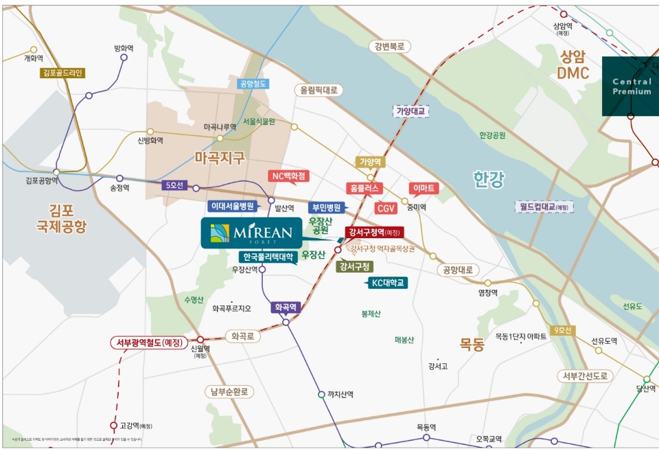 미래안 이미지