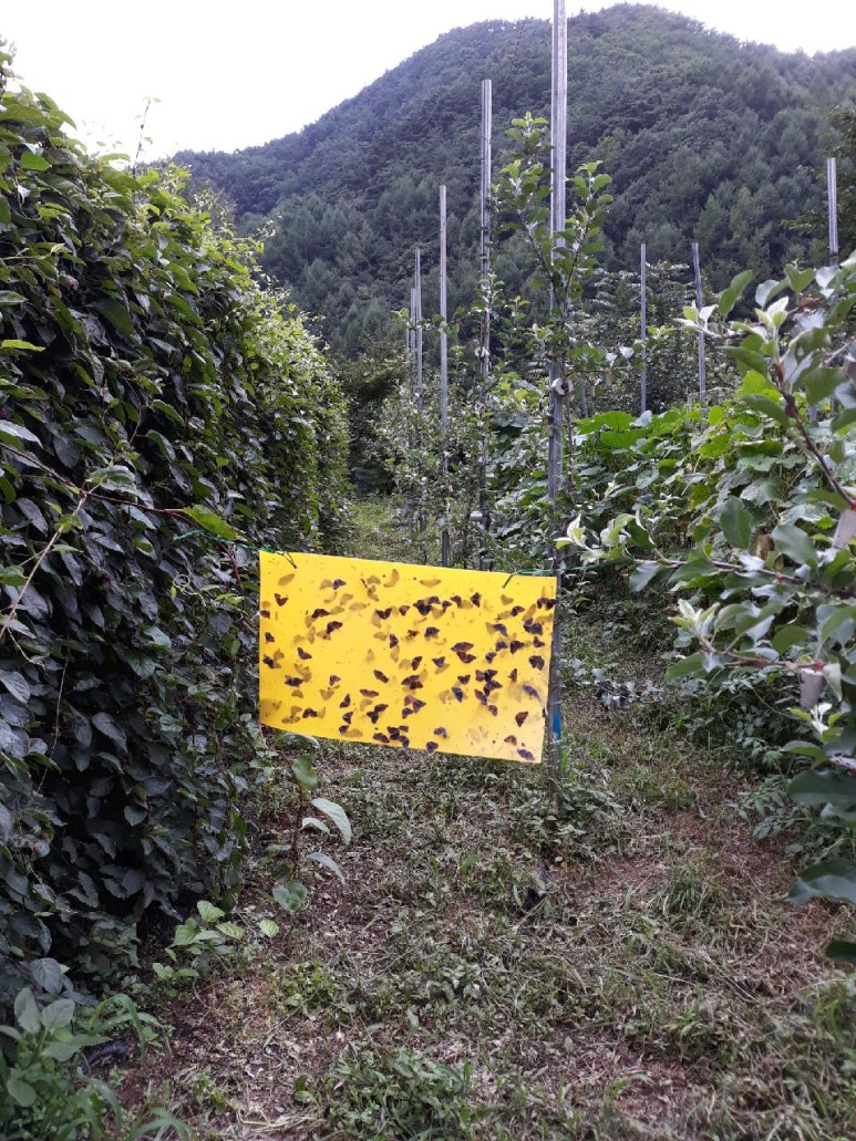 (주)자임 이미지