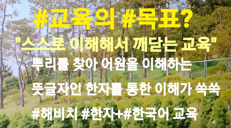 손.수[手] 이미지
