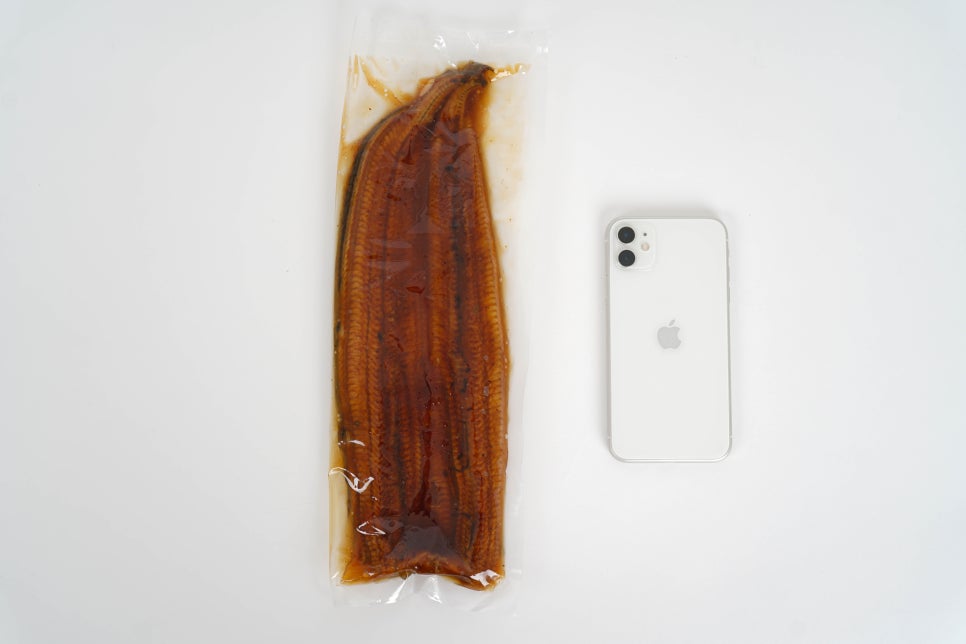 우람장어 이미지