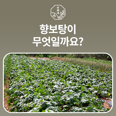 (주)전주수산 이미지