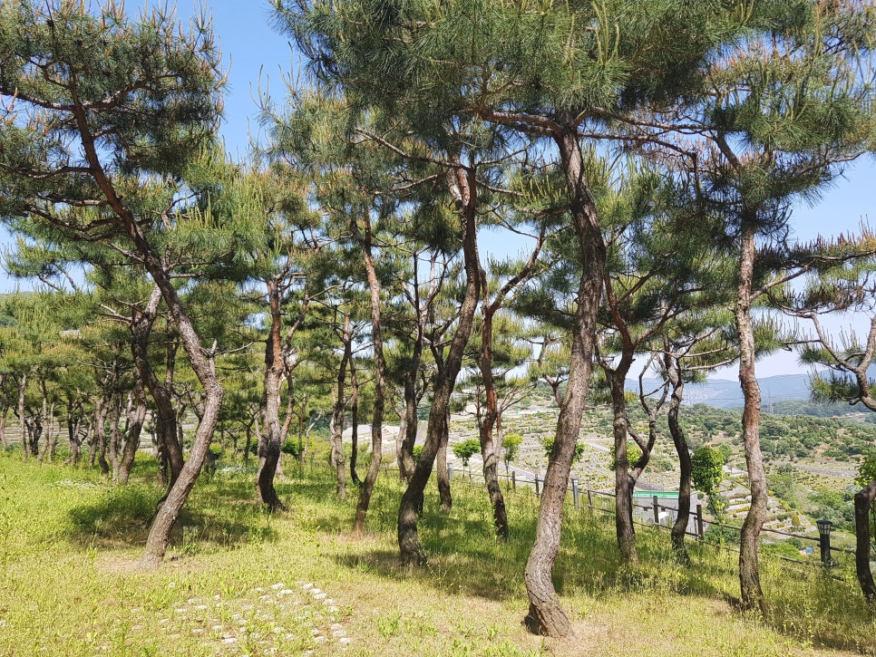 분당수목장 이미지