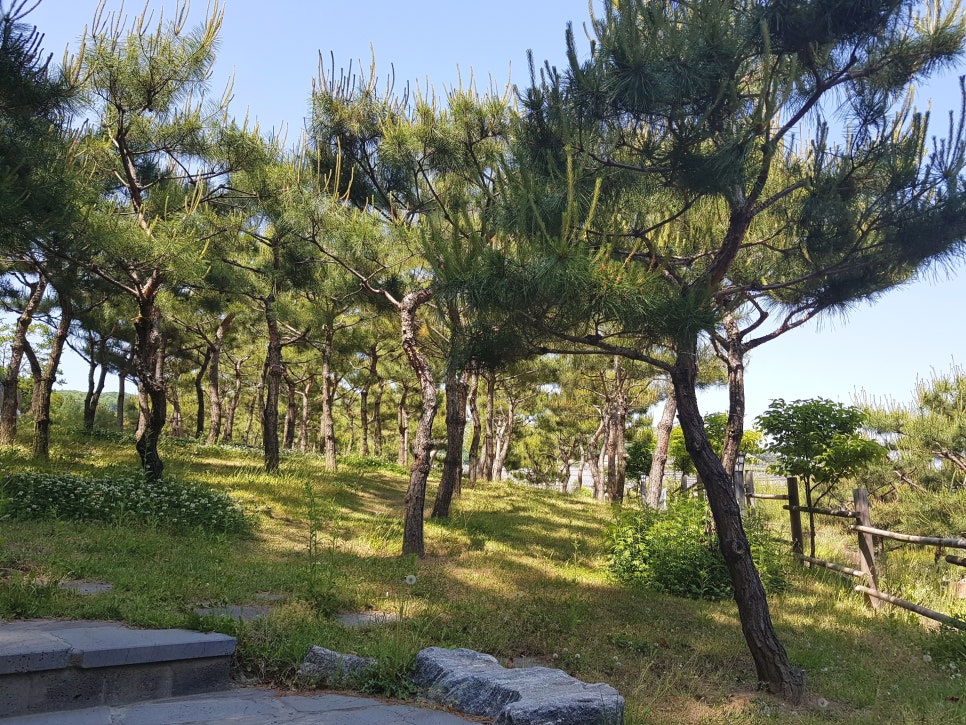 분당수목장 이미지
