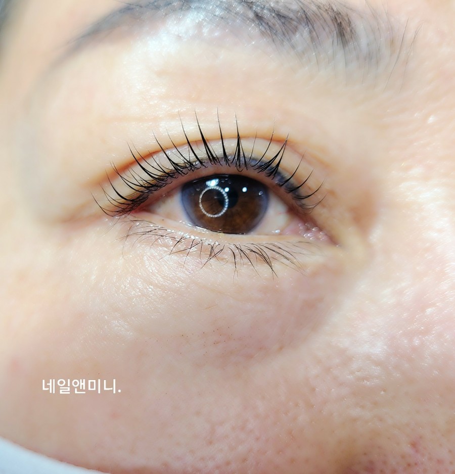 네일앤미니 이미지