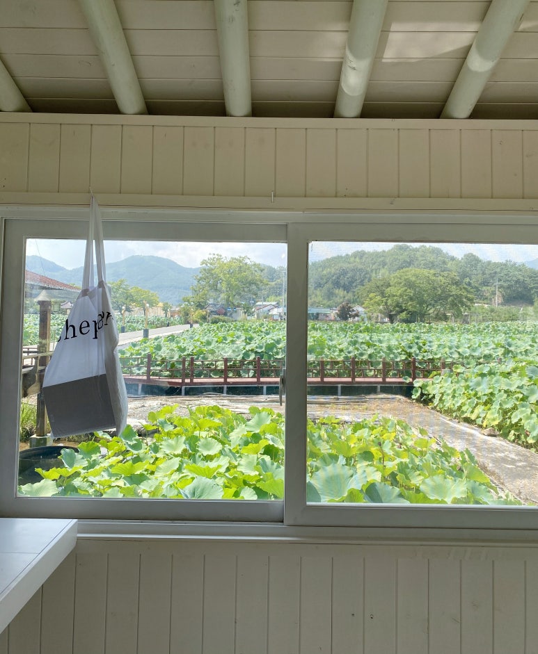 도화지(dohwaji) 이미지
