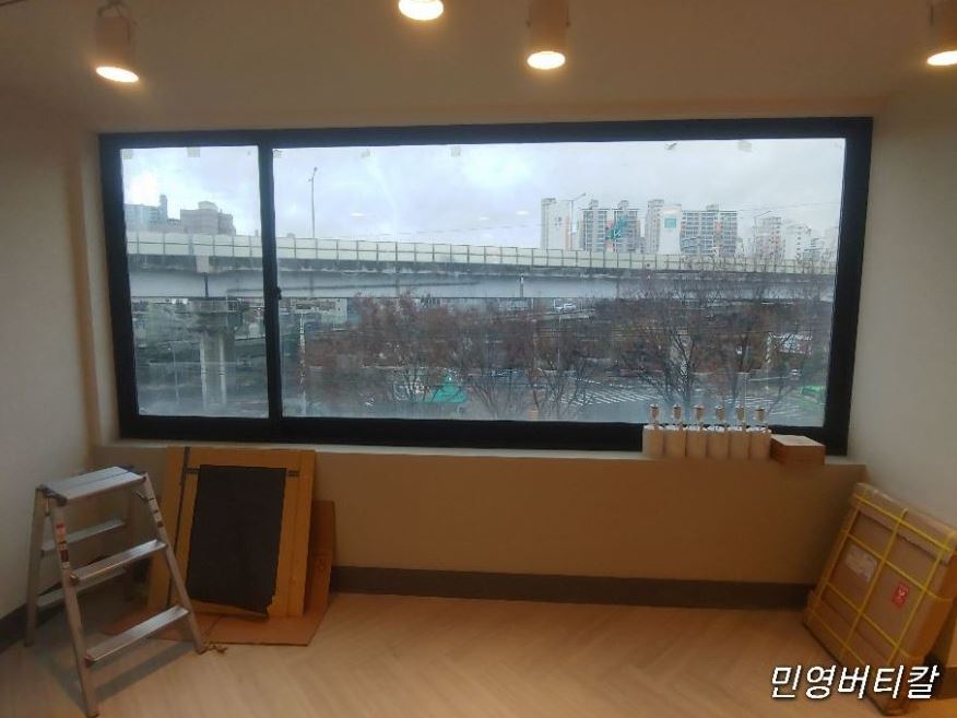 블라인드나무 이미지