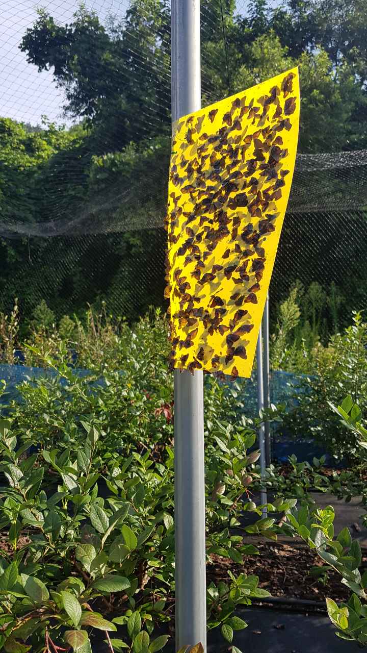 (주)자임 이미지