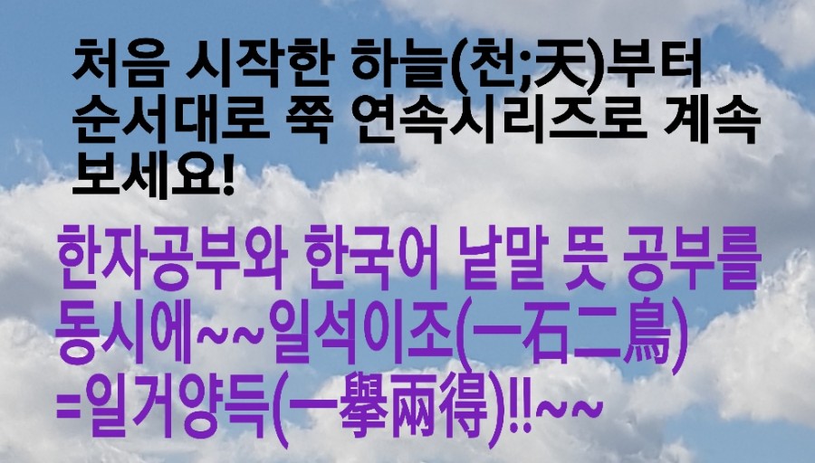 손.수[手] 이미지