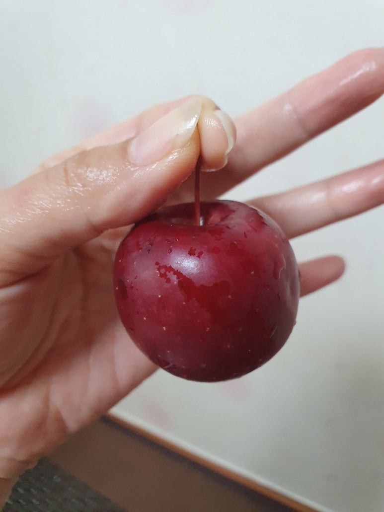 임수림손칼국수 이미지