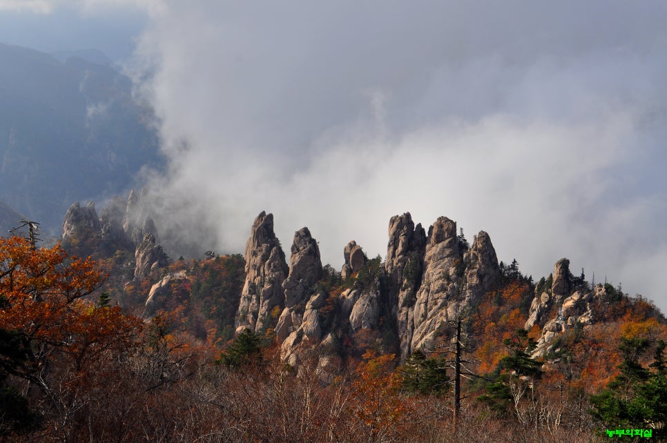 산정상 이미지