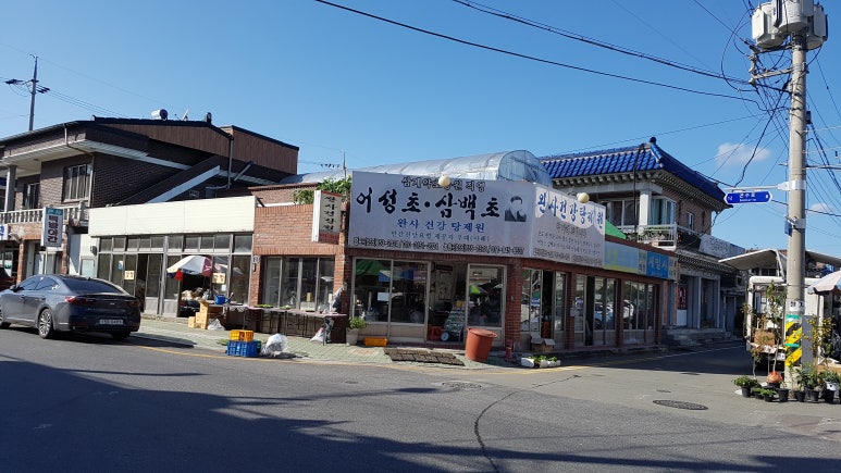 새빛광고기획 이미지
