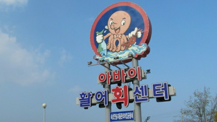 춘길호 이미지