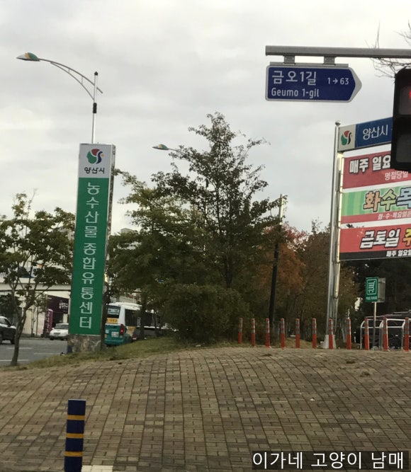 양산종합유통 이미지