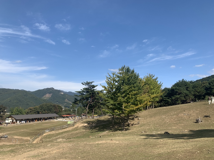 오천닭갈비 이미지