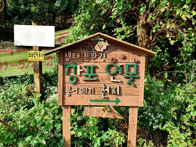 창포연못낚시터 이미지