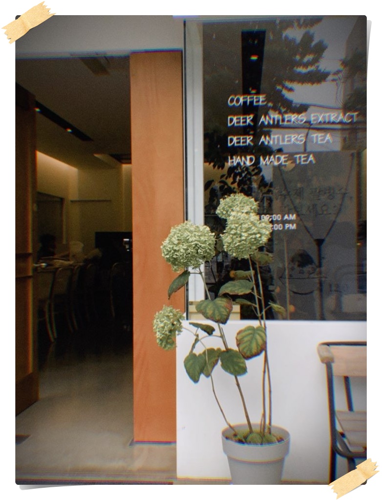 다림원 이미지