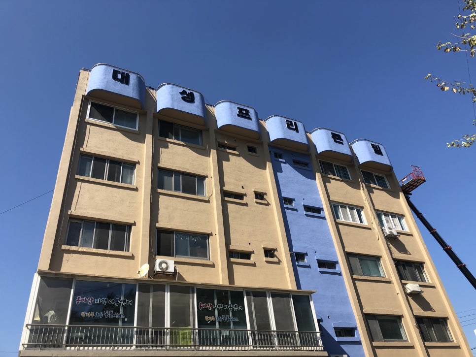 대성페인트 이미지