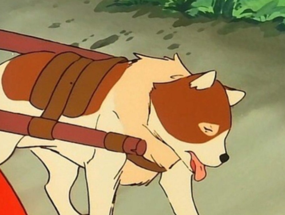꿀꿀이뒷고기 이미지