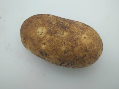 파리바게뜨춘천 이미지