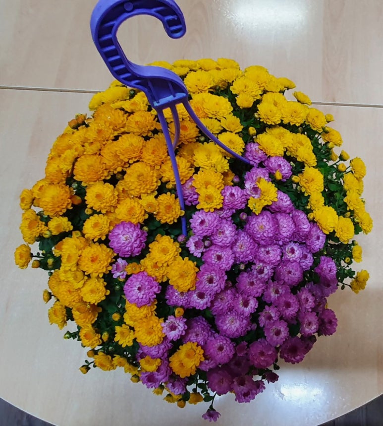 반달음악학원 이미지