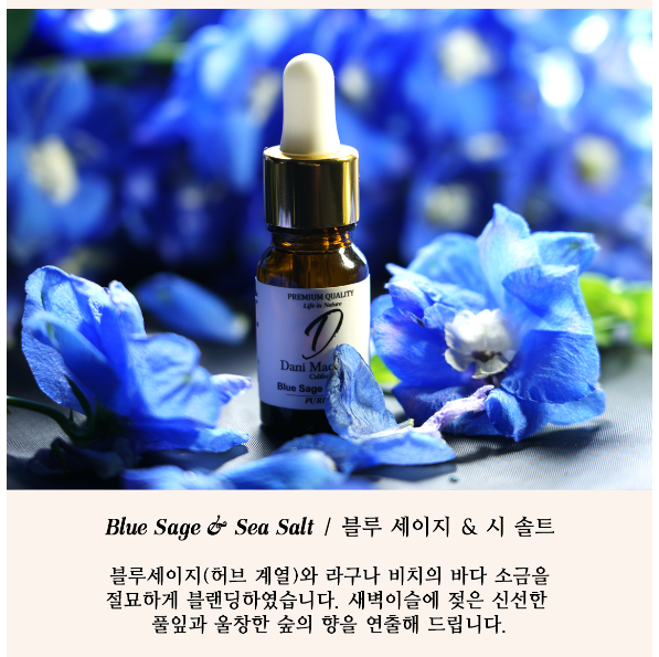 블루씨 이미지