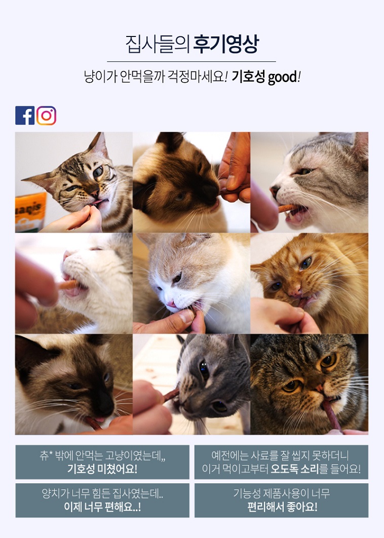 다온협동조합 이미지